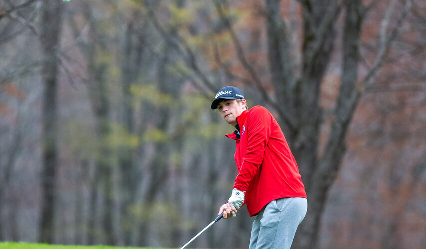 Strong matches from Babcock and Harwood for Hornell golf (Steve
