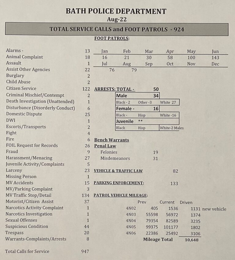 Bath NY Police Officer injured arresting dangerous felon The HORNELL SUN