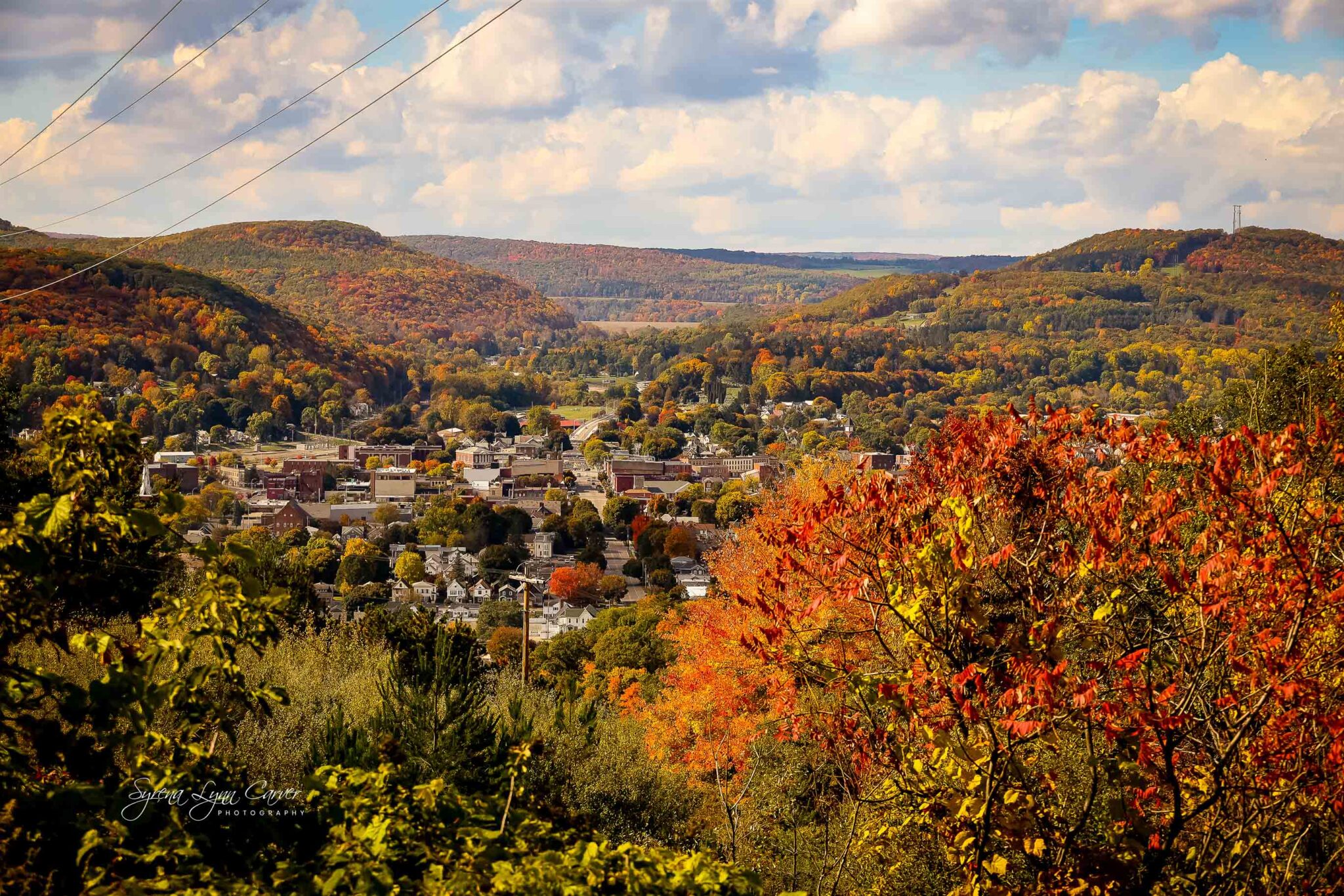 The HORNELL SUN News, Politics, and Culture from 14843