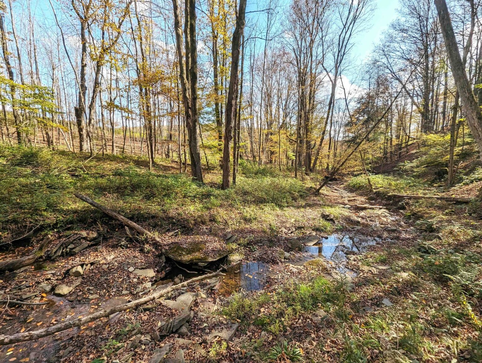 NY Landquest For Sale Canisteo country road property has field and