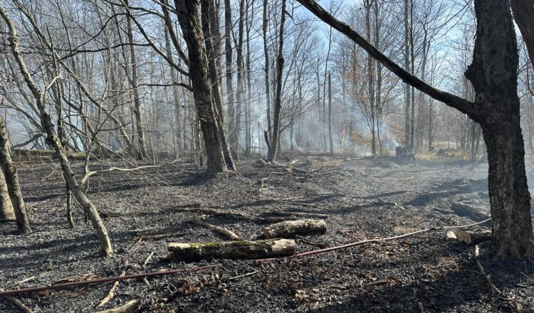 Wildfires in Allegany County: Alma Hill and Caneadea woods fire test ...