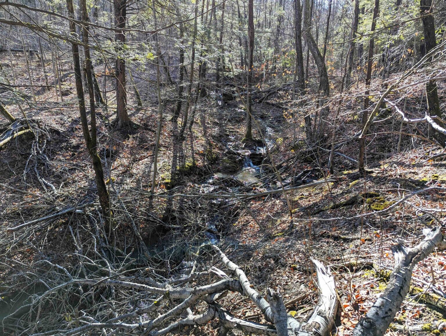 NY LandQuest For Sale Over two hundred acres of prime land near