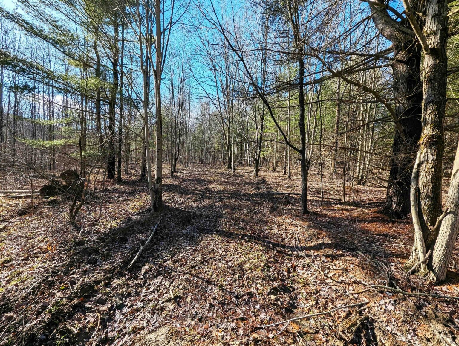 NY LandQuest For Sale Over two hundred acres of prime land near