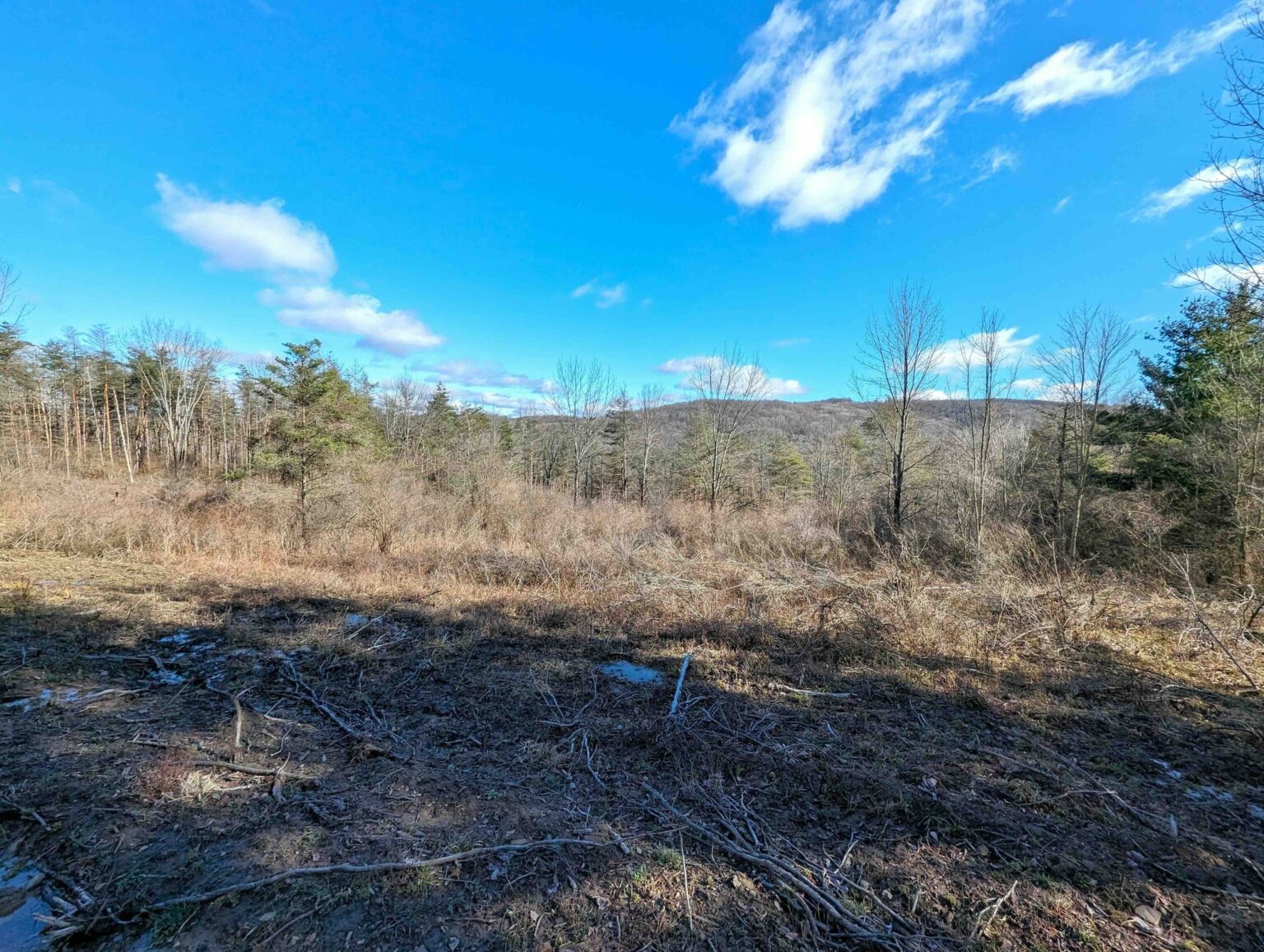 NY LandQuest For Sale Over two hundred acres of prime land near Canisteo NY, GALLERY The