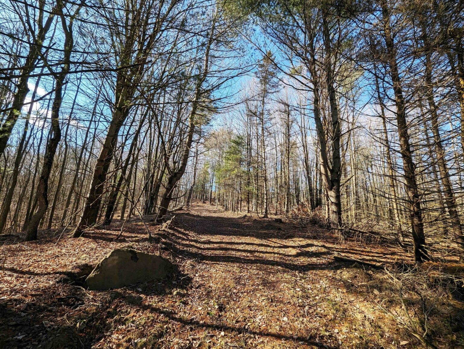 NY LandQuest For Sale Over two hundred acres of prime land near