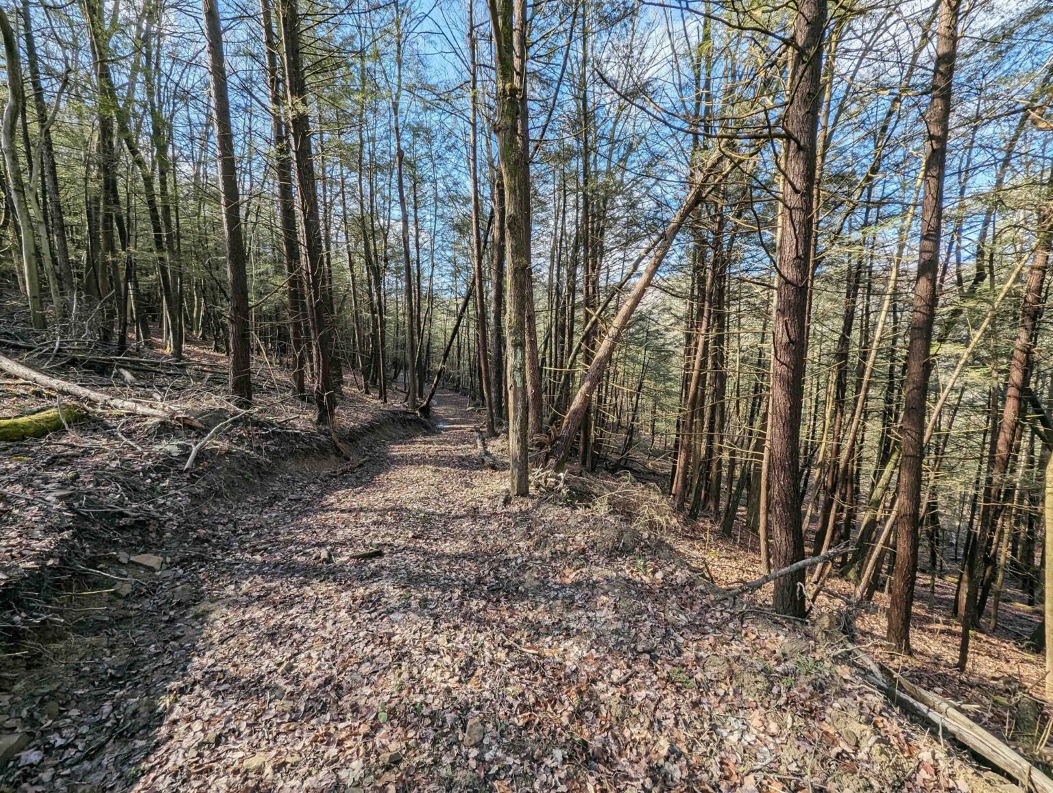 NY LandQuest For Sale Over two hundred acres of prime land near