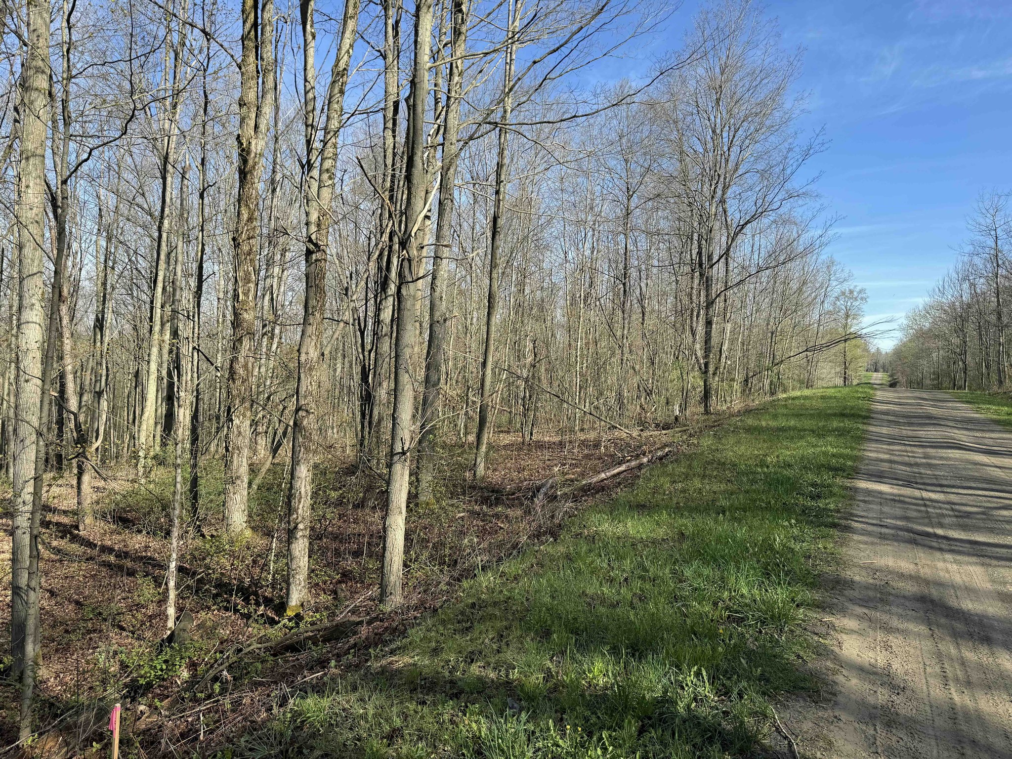 NY Landquest For Sale Go off the grid!! Property with road frontage in