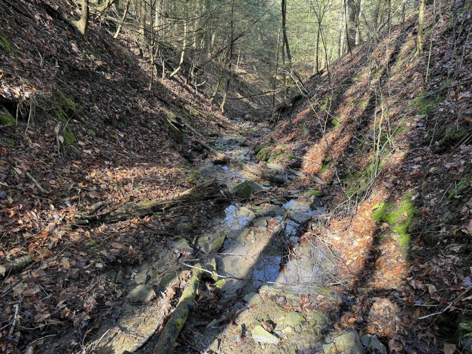 NY Landquest For Sale Go off the grid!! Property with road frontage in Arkport NY The HORNELL SUN