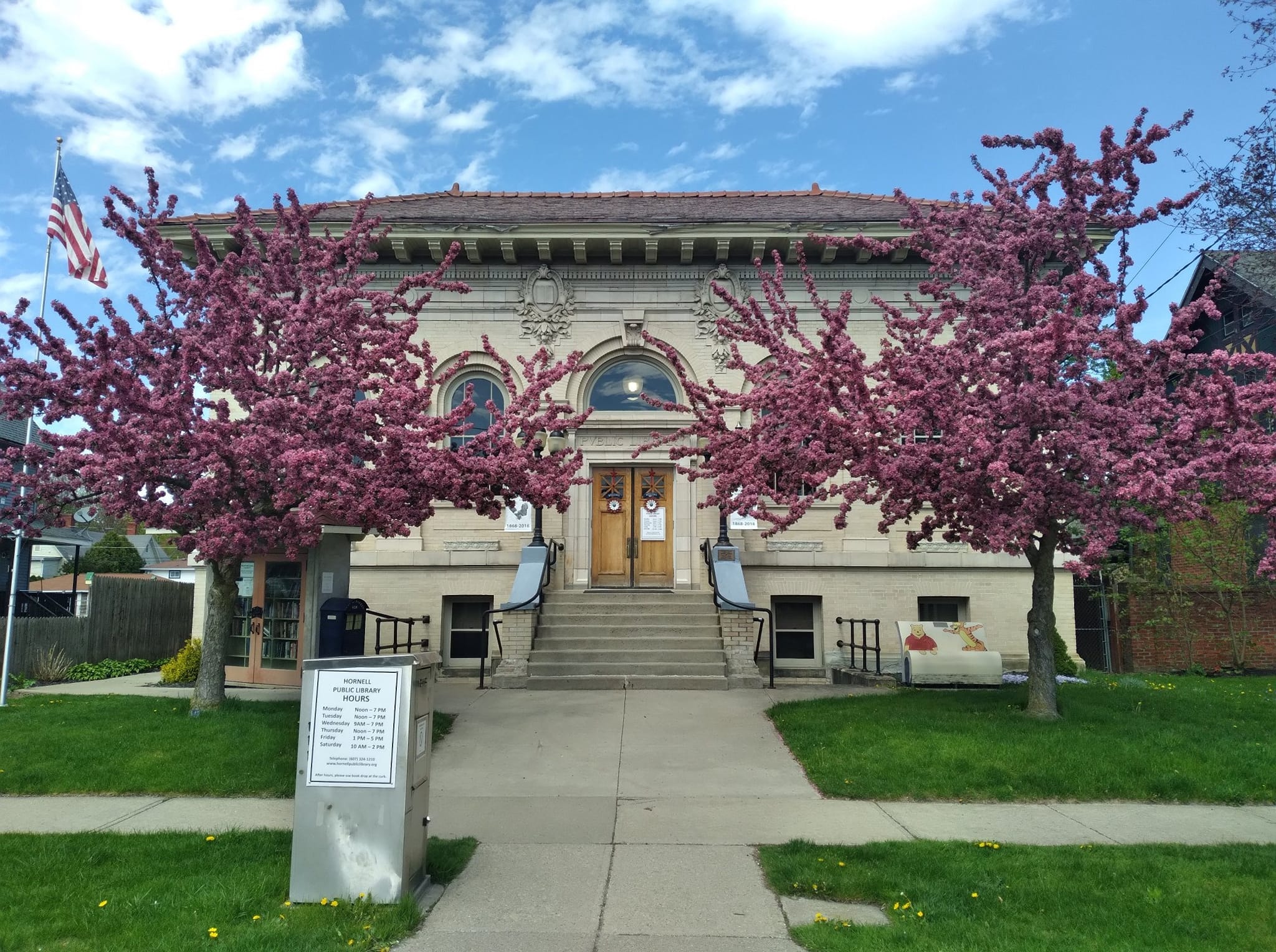 Library Hike Program June at the Hornell Public Library: Pride Community Art Class, Hiking ...