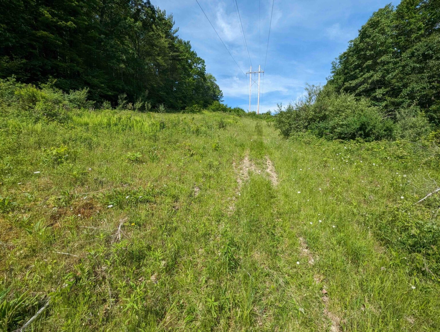 NY Landquest For Sale Beautiful property in Finger Lakes Country, see