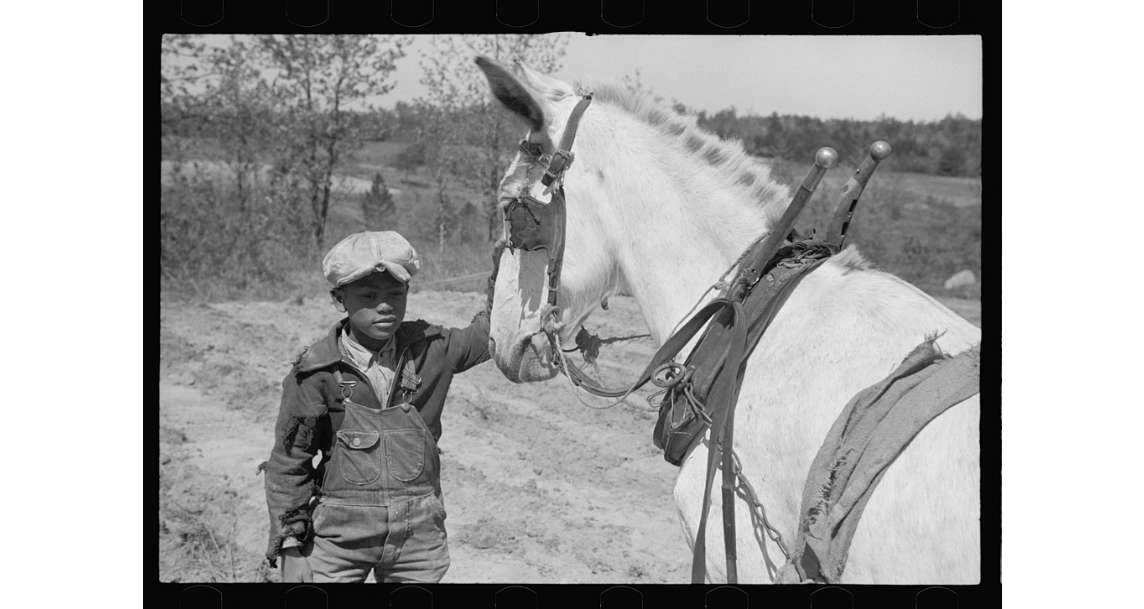 Special Feature Black History in Agriculture The HORNELL SUN