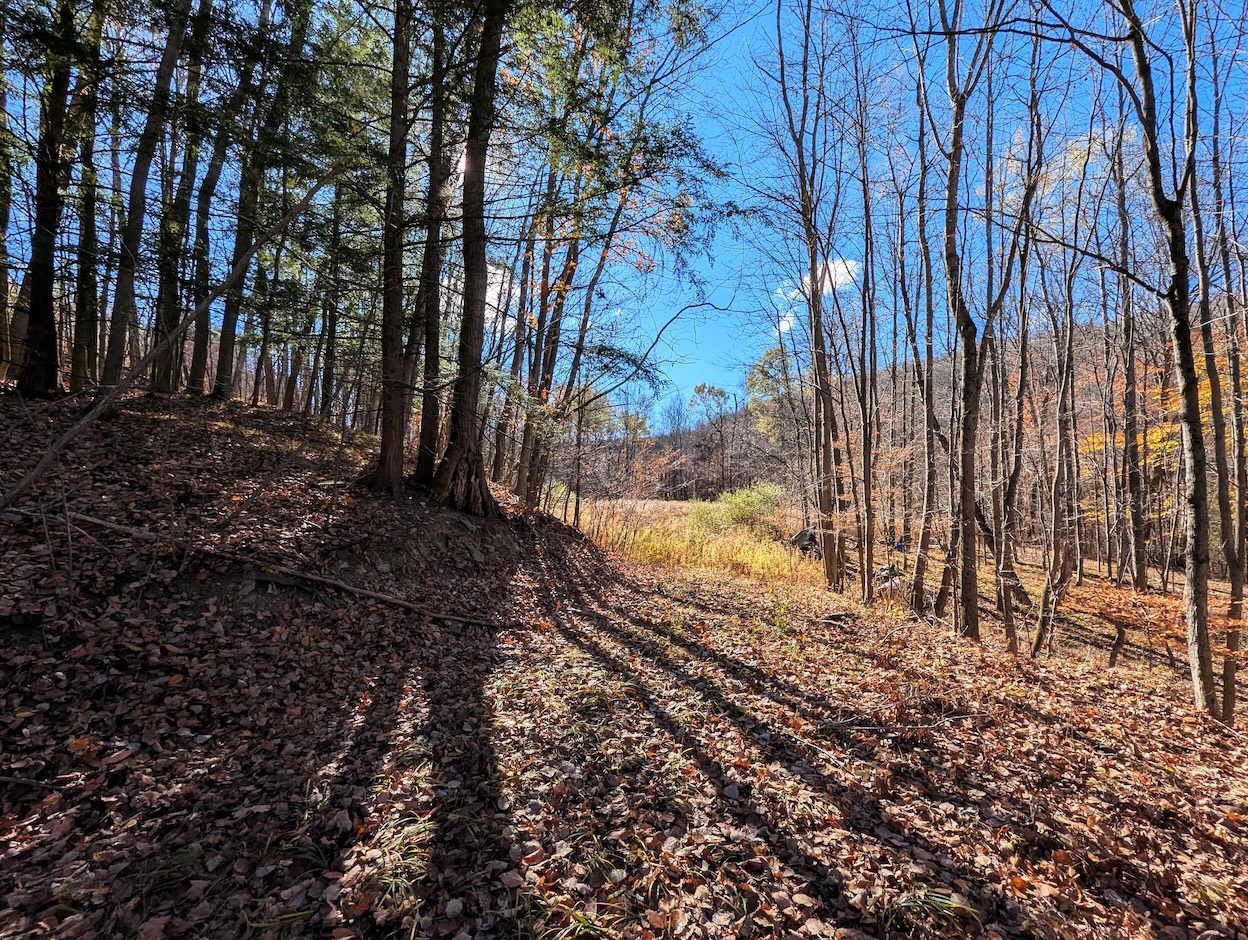 NY Land Quest For Sale Five acres of paradise in southern Steuben