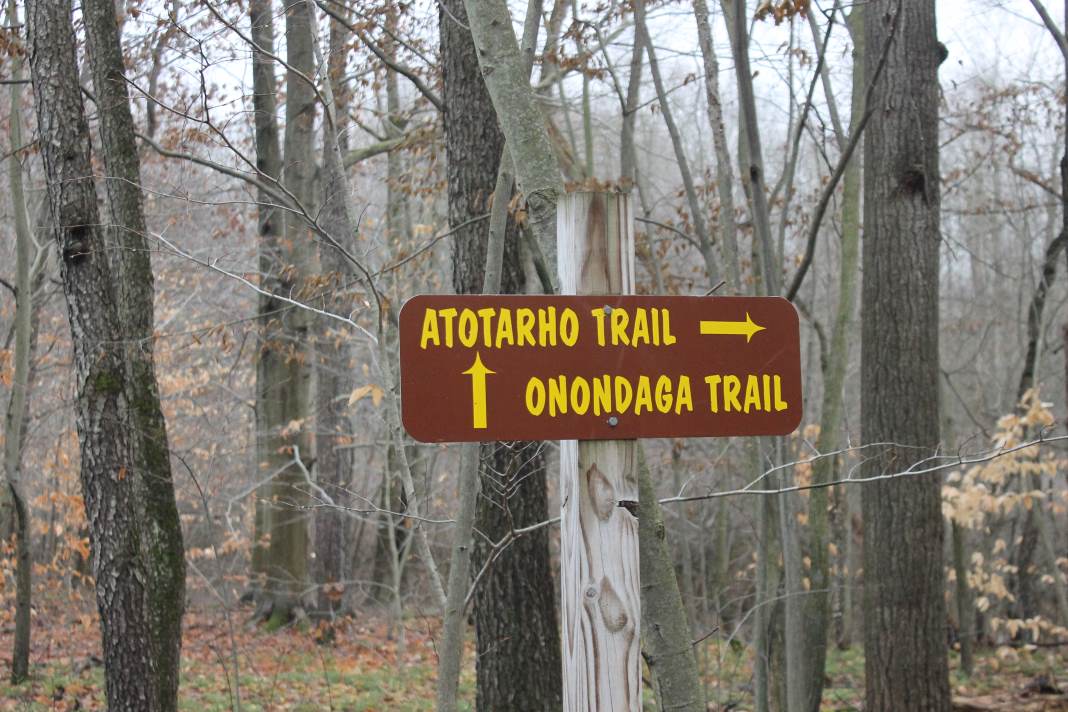 A trail less traveled in the WNY Alabama Swamps - The HORNELL SUN